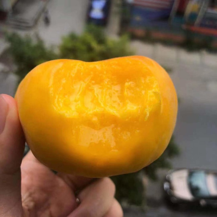 黄金蟠桃桃香浓郁清甜无渣略带果酸5斤装包邮广西