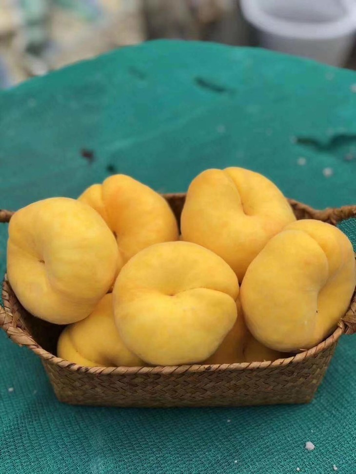 黄金蟠桃桃香浓郁清甜无渣略带果酸5斤装包邮广西