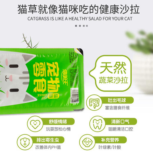 猫草盒装种植套装去毛球化毛猫草小麦种子猫咪零食猫咪盆栽 商品图4