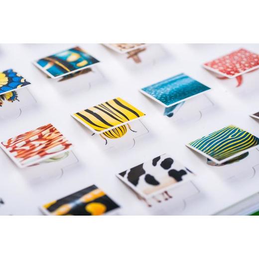 第一次发现丛书·互动探索系列大百科 全3册 商品图4