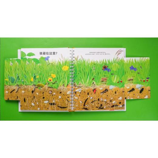 第一次发现丛书·互动探索系列大百科 全3册 商品图2