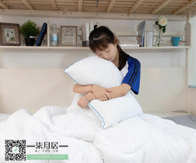 羽丝棉枕芯
