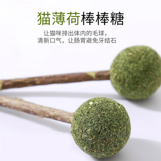 猫咪薄荷棒棒糖 单支装木天蓼去毛球助消化洁齿猫咪玩具猫零食 商品图2