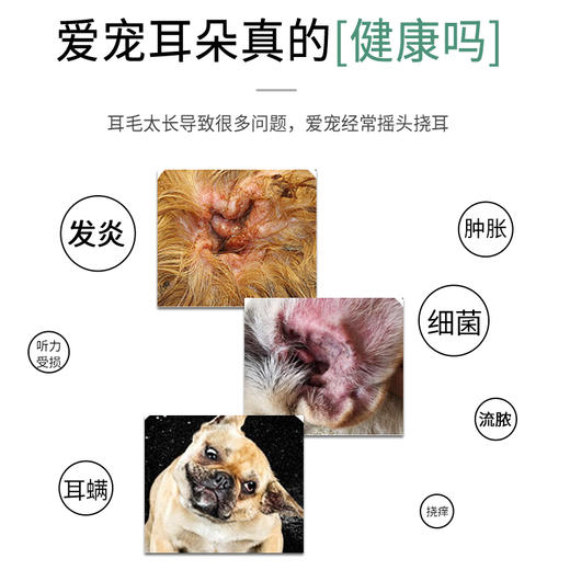 宝莱美露拔毛粉42g 犬猫耳部清洁护理用品 高性价比 不好卖包退！ 商品图3