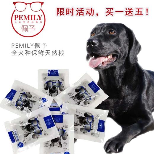 【9.9付运费试吃】泰迪 贵宾 比熊 只要9.9元赠成犬天然粮试吃装50gX6包JPY带授权招加盟代理 商品图1