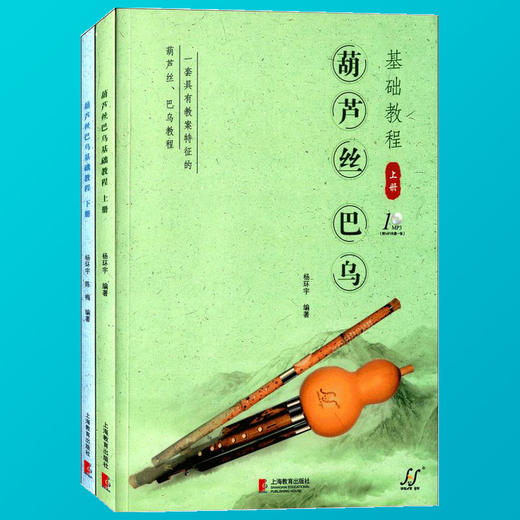 葫芦丝巴乌基础教程上下附光盘杨环宇陈梅葫芦丝零基础入门教材书籍