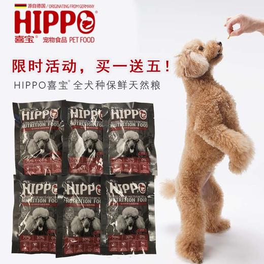 【9.9付邮试吃】喜宝狗粮幼犬全价粮试吃装50*6包 9.9赠送试吃 商品图2