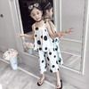 CCT-CTM18111新款波点洋气韩版中大童休闲两件套 商品缩略图1