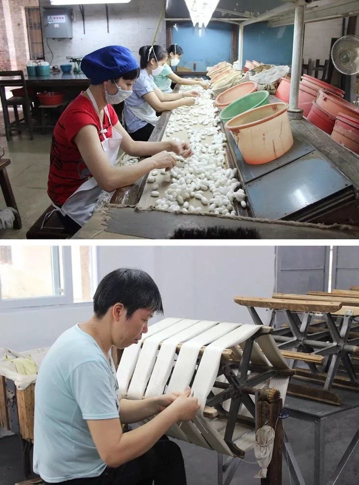 【团队定制】岭南蚕桑丝织~探访珠三角最后一家缫丝厂,尤其是一台仿制