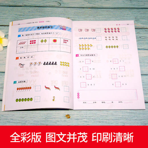 【开心图书】小学一年级语文默写数学计算小帮手人教统编版共2册 商品图4