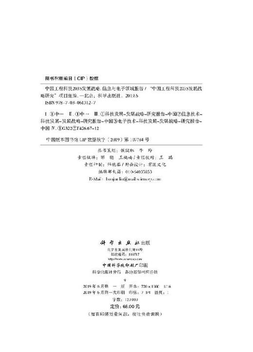 中国工程科技2035发展战略·信息与电子领域报告 商品图2