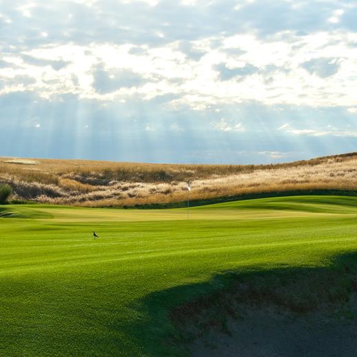 酒谷高尔夫俱乐部 Wine Valley Golf Club | 美国高尔夫球场 | 华盛顿州高尔夫 | WA 商品图0