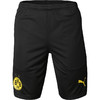 PUMA彪马BVB19-20赛季多特蒙德短袖T恤男755768-01 商品缩略图7