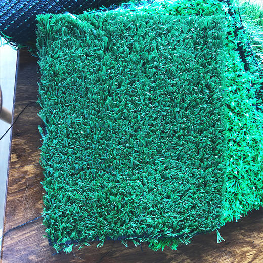 绿植草皮 青草 商品图8