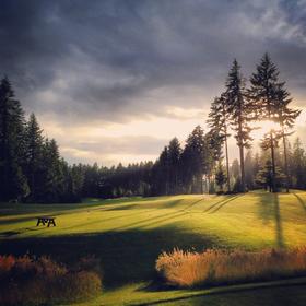 金山高尔夫俱乐部 Gold Mountain Golf Club | 美国高尔夫球场 俱乐部 | 华盛顿州高尔夫 | WA
