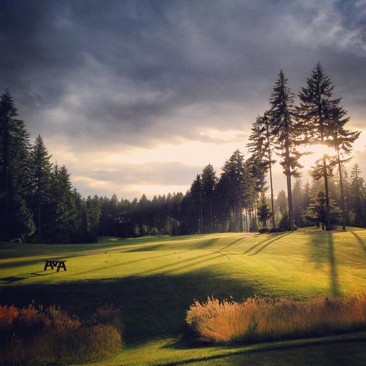 金山高尔夫俱乐部 Gold Mountain Golf Club | 美国高尔夫球场 俱乐部 | 华盛顿州高尔夫 | WA 商品图0