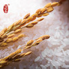 一年一季【2024龙年贺岁红新米上市啦】响稻香贡米20kg 响水石板米主产区鸭稻米 商品缩略图4