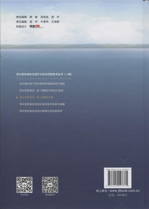 特大型桥梁风-浪-流耦合作用 商品图1