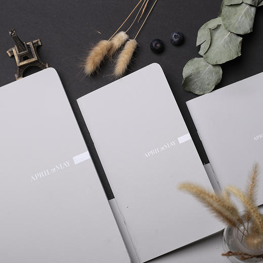 「April玲珑彩色本」Grey 寂静灰 商品图0