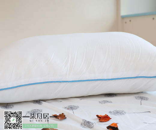 羽丝棉枕芯 商品图3