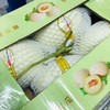 【海南白金蜜瓜】脆甜多汁，瓜藤碧绿，新鲜如图，糖度17左右，一箱4～5个，带箱约9斤左右 商品缩略图0