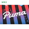 小李子:专柜正品puma彪马Acid Bleach Jersey短袖T恤男65650001 商品缩略图2