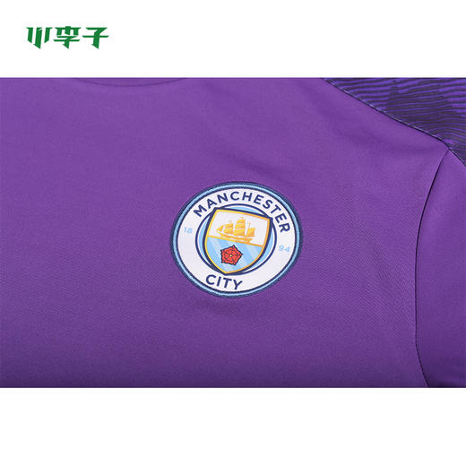PUMA/彪马19-20赛季曼城训练短袖T恤男75579817 商品图3