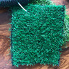 绿植草皮 青草 商品缩略图2