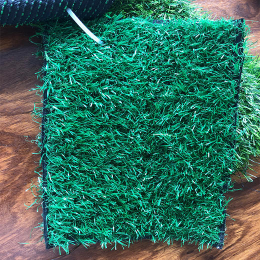 绿植草皮 青草 商品图2