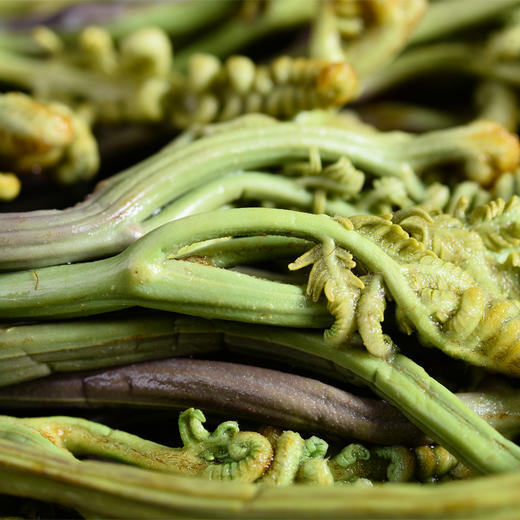 雲南特產 即食蕨菜新鮮袋裝3斤 醃製龍爪菜泡菜炒菜涼拌鹹菜1500g