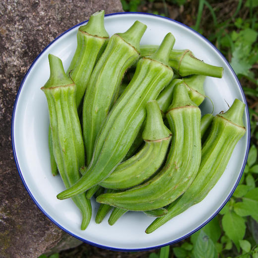 秋葵 
Okra 商品图0