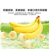 国产香蕉新鲜水果 商品缩略图5