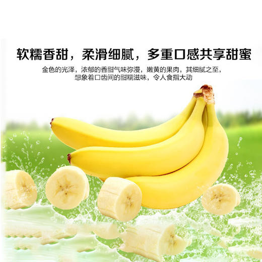国产香蕉新鲜水果 商品图5