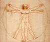 第二集：天才达·芬奇为解剖学做过什么 商品缩略图0