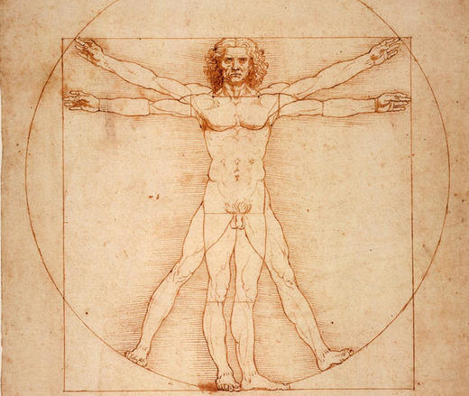 第二集：天才达·芬奇为解剖学做过什么 商品图0