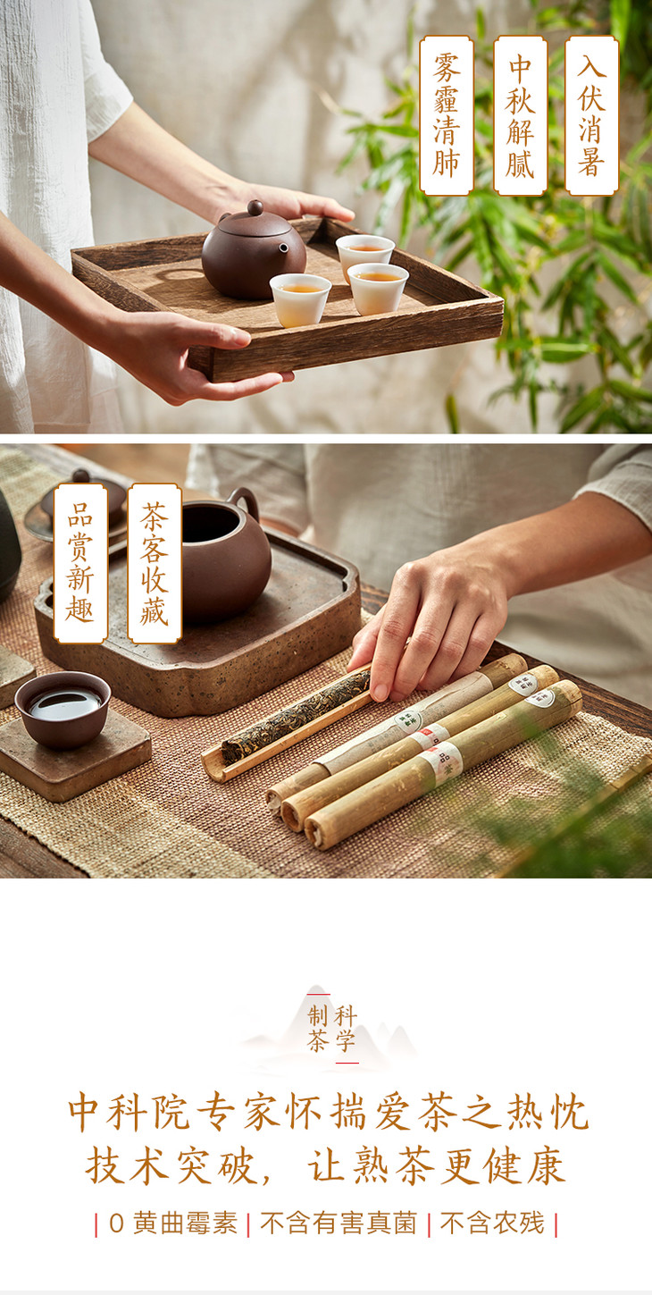 万殊堂香竹茶500年勐库大叶种古树濒临失传的香竹茶