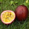 百香果 新鲜水果 500g 商品缩略图3
