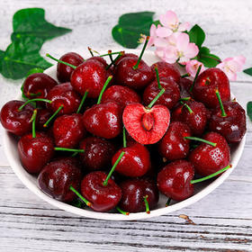 特价车厘子新鲜水果500g