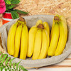 进口香蕉banana 新鲜香蕉 商品缩略图3