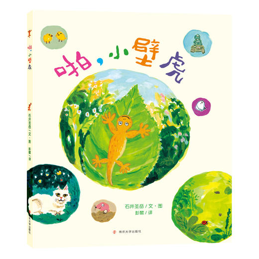 石井圣岳经典绘本（2册套装） 商品图4