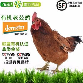 秦邦吉品 600天有机散养老公鸡