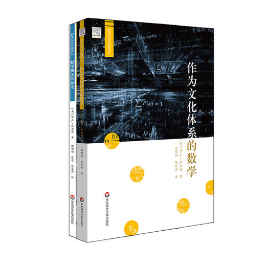 数学概念的演变+作为文化体系的数学 数学文化名著译丛2册套装 R.L.怀尔德著 数学史研究 商品图0