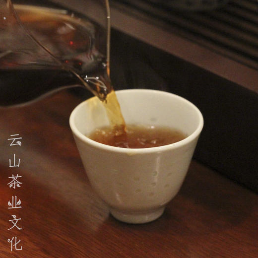 九二年老六堡·送礼自饮收藏广西梧州六堡茶 商品图4