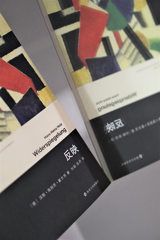 反映//当代激进思想家译丛 商品图4