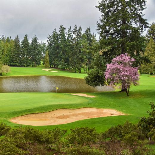 西雅图高尔夫俱乐部 Seattle Golf Club | 美国高尔夫球场 俱乐部 | 华盛顿州高尔夫 | WA 商品图2