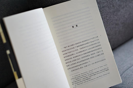 反映//当代激进思想家译丛 商品图5