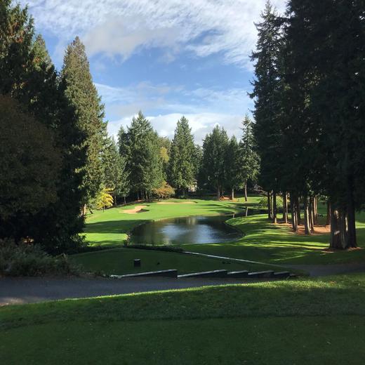 萨哈里乡村俱乐部 Sahalee Country Club | 美国高尔夫球场 俱乐部 | 华盛顿州高尔夫 | WA 商品图4