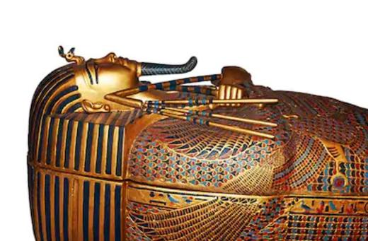 第三集：被蚊子叮一下之后身体发生了什么复杂变化？ 商品图0