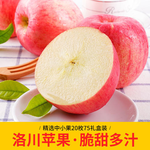 【正宗洛川苹果】顶端果业陕西洛川红富士苹果20枚75mm中果  脆甜多汁 商品图5