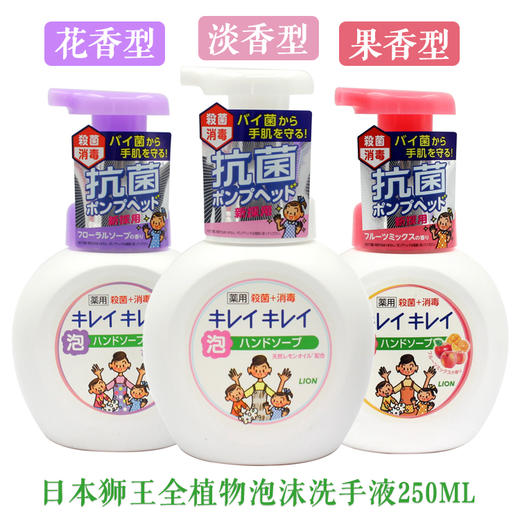 日本 狮王 泡沫洗手液 250ml 新旧包装随机 商品图3